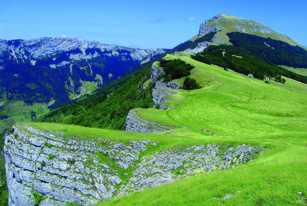 סן-ז'אן-אן-רוייה Roulottes Au Pied Du Vercors מראה חיצוני תמונה